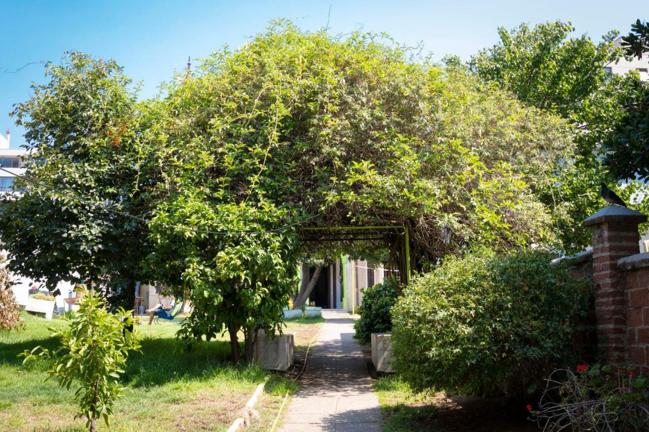 Vina City Hostel II Vina del Mar Dış mekan fotoğraf